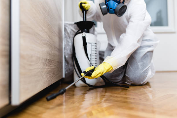 Best Flea Control Services  in Ballwin, MO