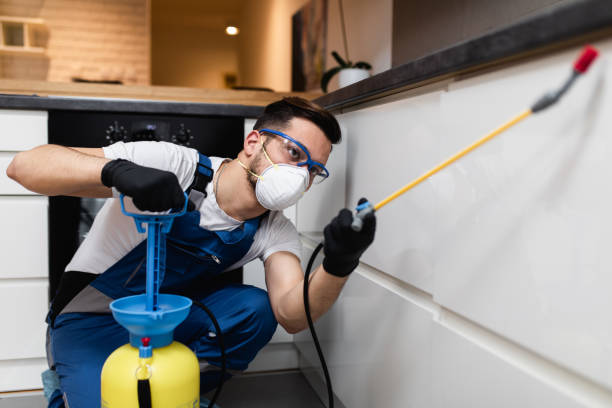 Best Local Pest Control Services  in Ballwin, MO