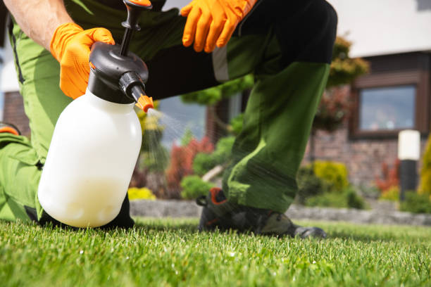 Best Pest Inspection Near Me  in Ballwin, MO
