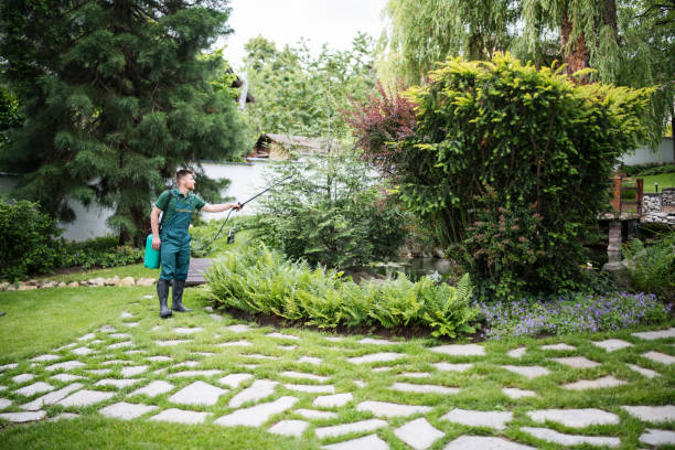Best Affordable Pest Control Services  in Ballwin, MO