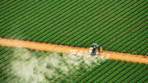 Best Termite Control Services  in Ballwin, MO